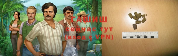 гашик Алзамай