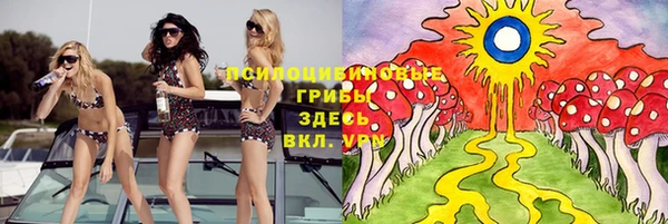 не бодяженный Абаза