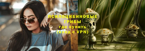 гашик Алзамай
