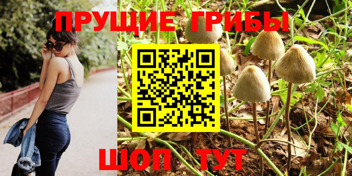 Златоуст  Псилоцибиновые грибы MAGIC MUSHROOMS  Вход с VPN 